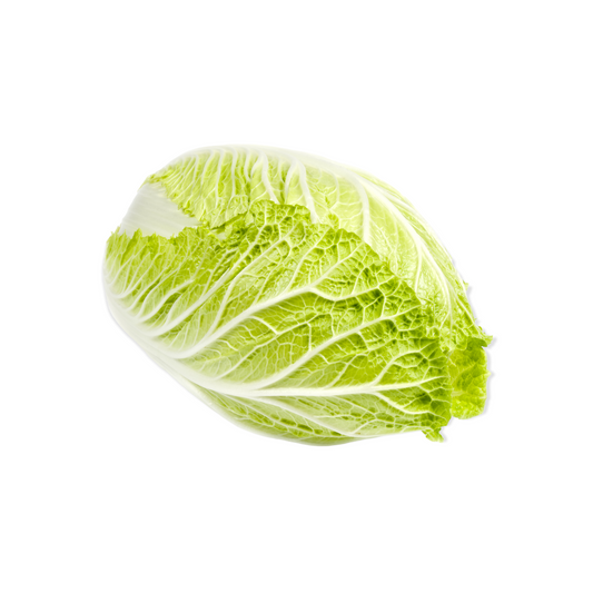 #9295-45-60 lbs Napa Cabbage