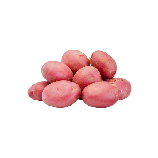 #9337-50 lbs Red Potato