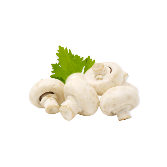 9289-10 lbs White Button Mushroom