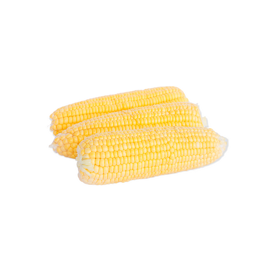 #1632-Corn On The Cob 96CT