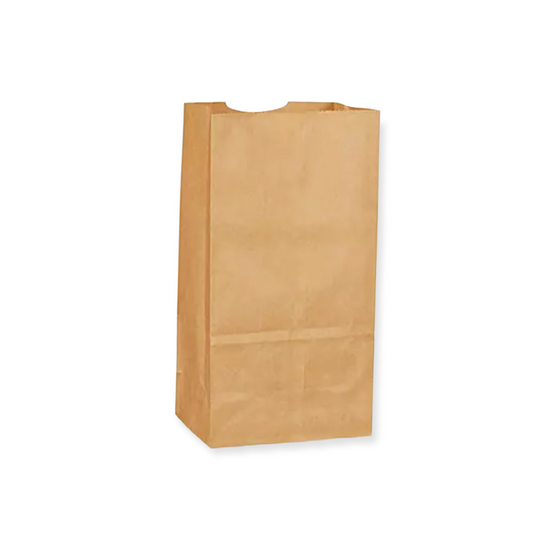 #3621-25# Brown Paper Bag