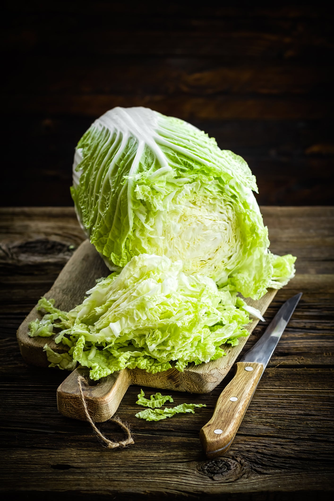 #9295-45-60 lbs Napa Cabbage